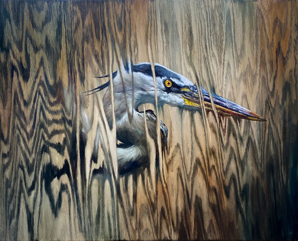 Matt Beyrer Artist Park West | Great Blue 20x30
