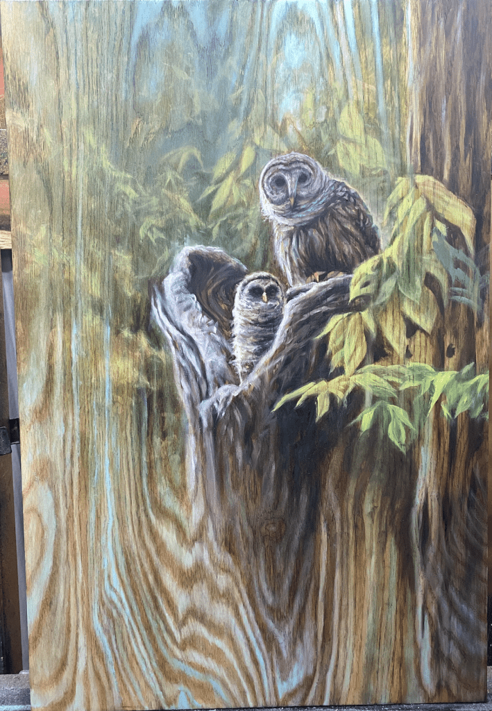Matt Beyrer Artist Park West | Woods of Wisdom 20x30
